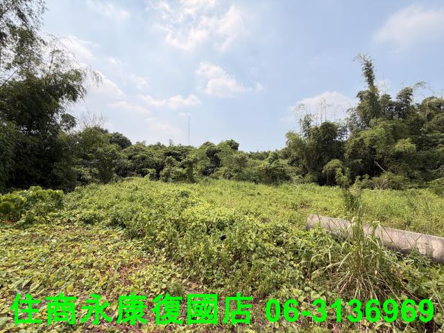 台南歸仁農地-1