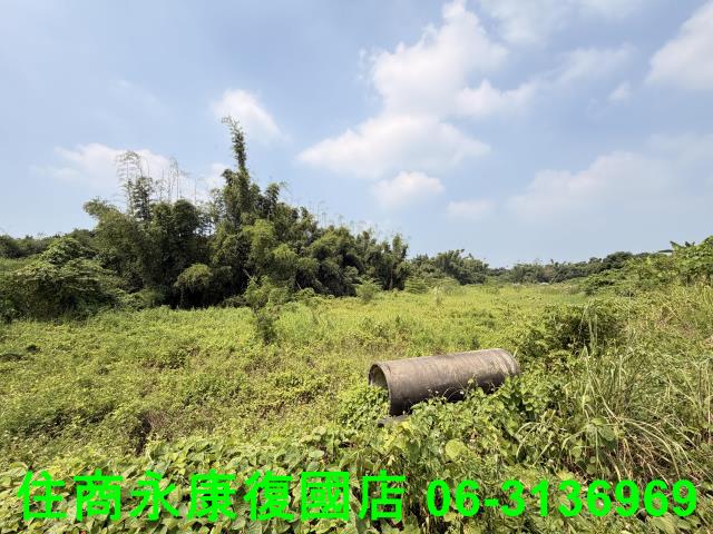 台南歸仁農地-2