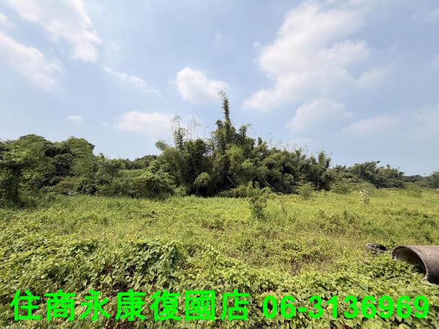 台南歸仁農地-5