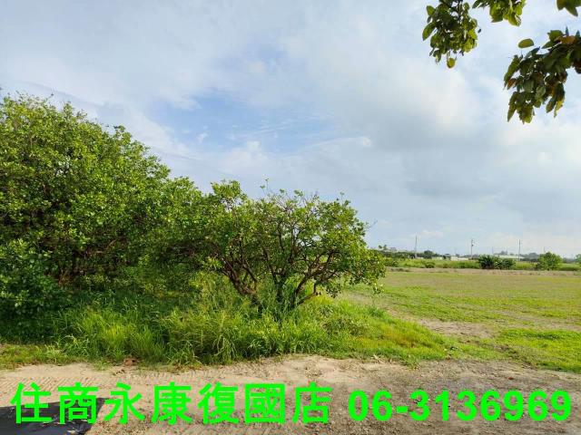 台南佳里農地-12