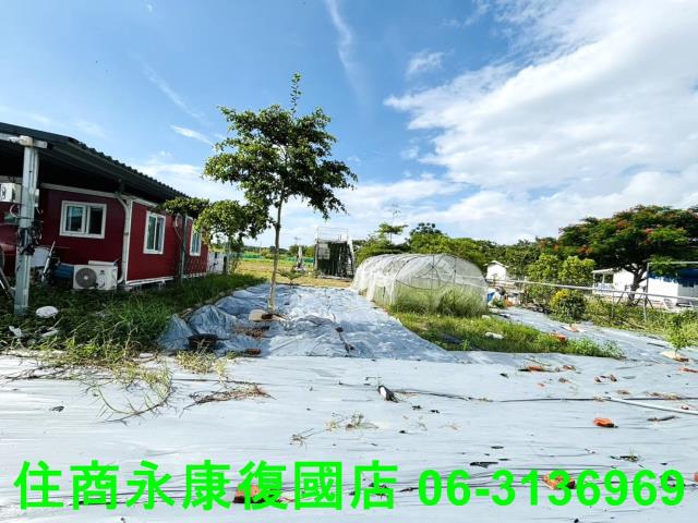 台南關廟農地-2
